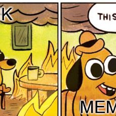 VirginiaHutt (virginie.lens) Lens social identity (.lens handle) PFP