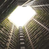 eidiil.lens Lens social identity (.lens handle) PFP