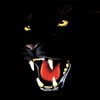 Iiuuuuu38981412's Lens avatar