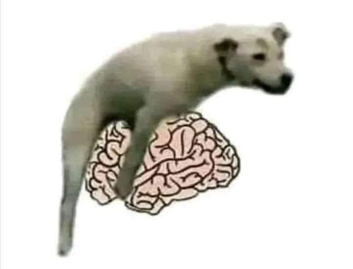 blockbigtime03 (blockbigtime.lens) Lens social identity (.lens handle) PFP