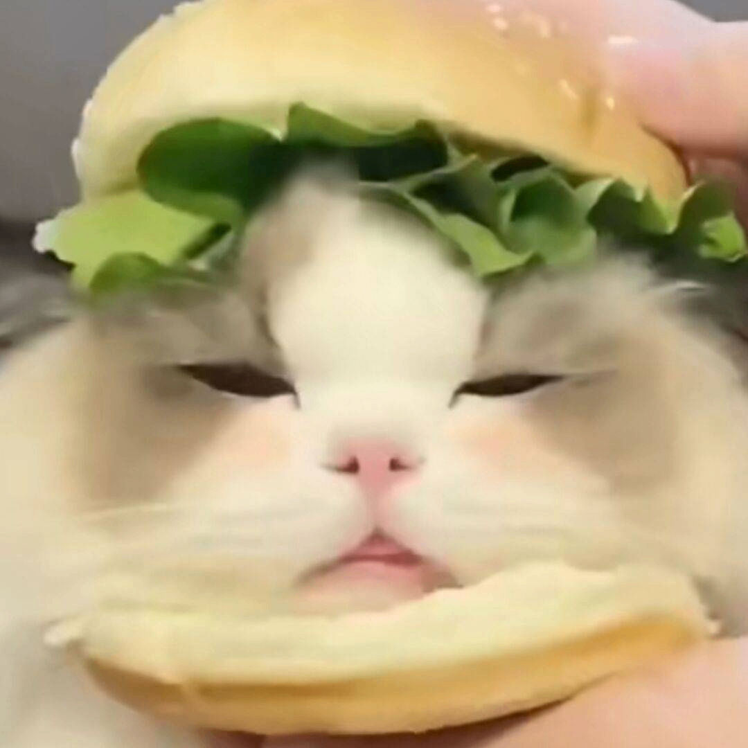 CoolUltra84905 (coolultra84905.lens) Lens social identity (.lens handle) PFP