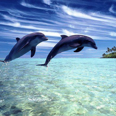 Richard (dynamo1.lens) Lens social identity (.lens handle) PFP