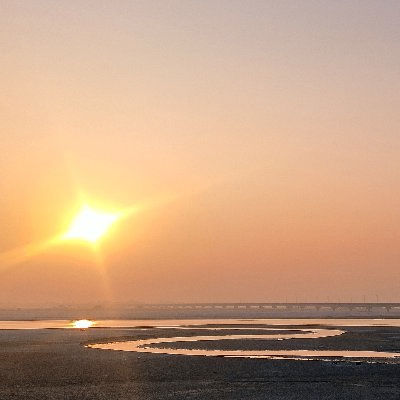 Falguni (falguni123.lens) Lens social identity (.lens handle) PFP