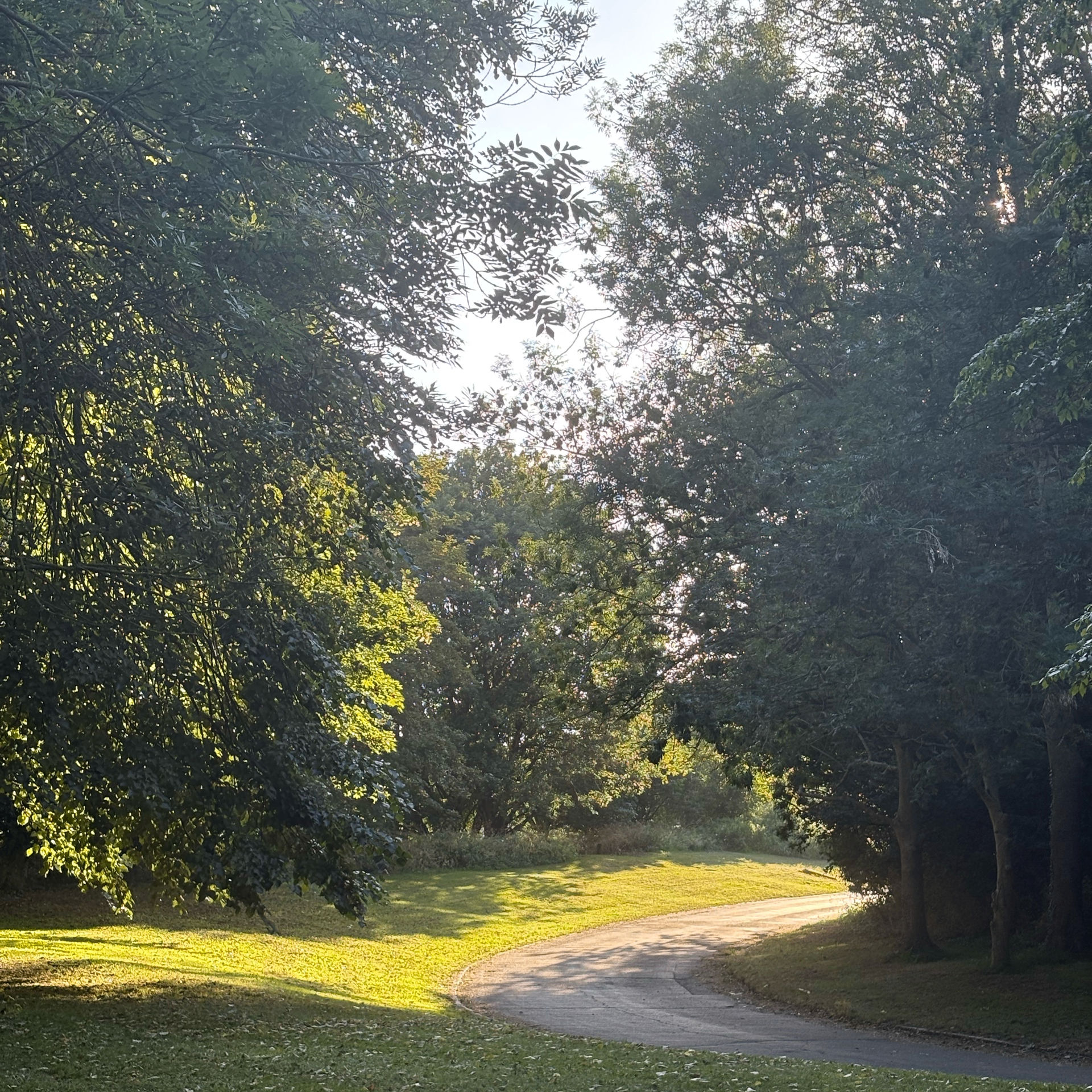 vinod (vinodjisharma.lens) Lens social identity (.lens handle) PFP