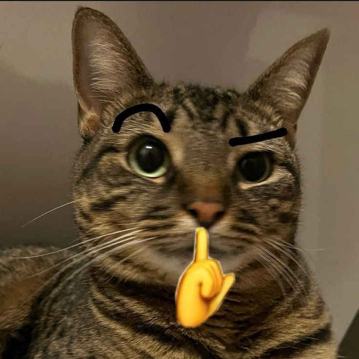 yuga (yugael.lens) Lens social identity (.lens handle) PFP