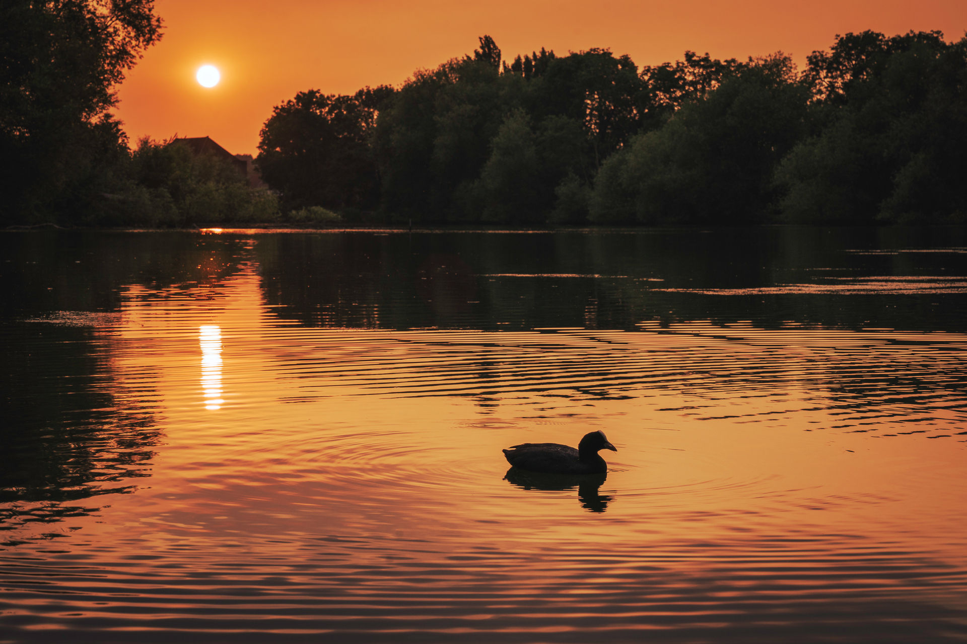 Post image: Goodnight! 🧡