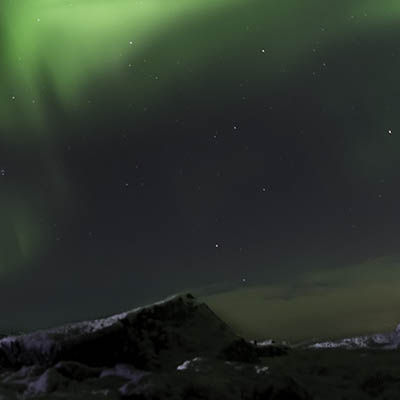 Gayle Barrick (gaylb.lens) Lens social identity (.lens handle) PFP