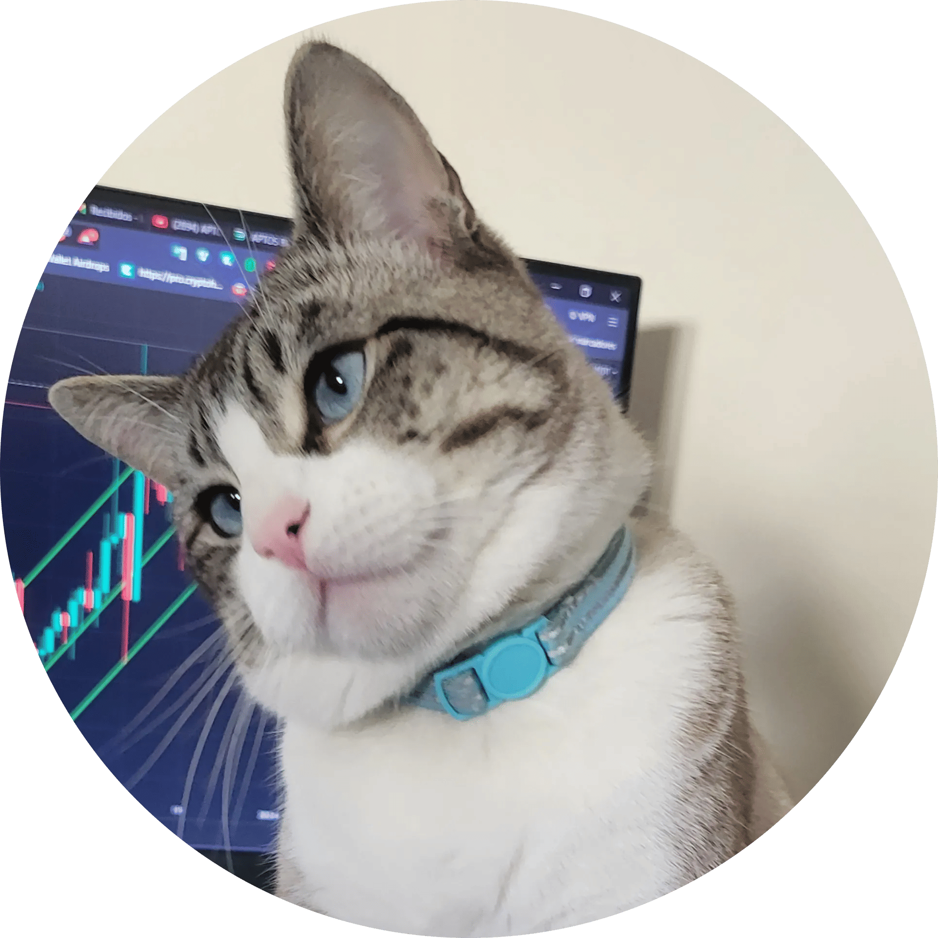 flor100.base.eth Basenames (.base.eth domains) based on ENS PFP