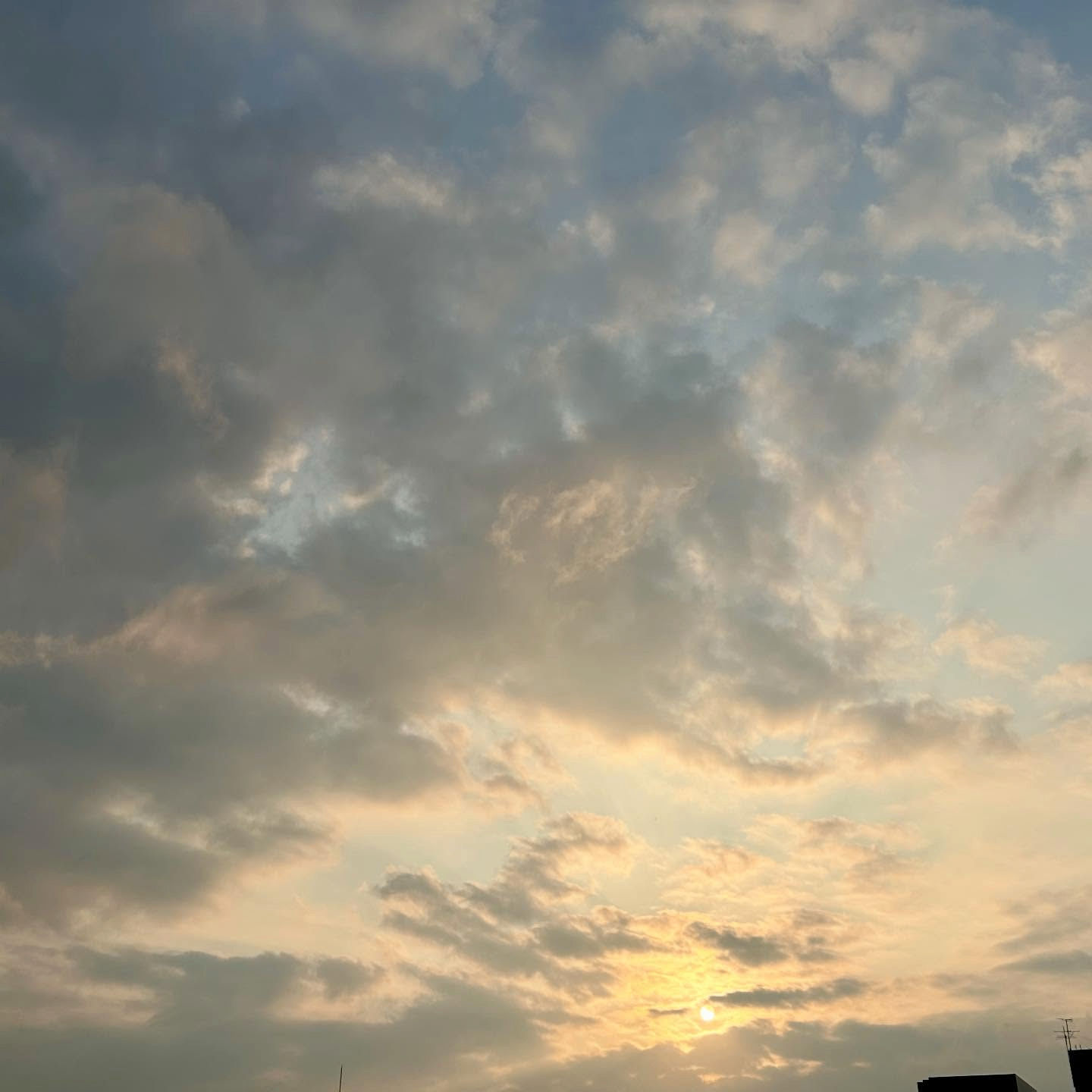 58825 (58825.lens) Lens social identity (.lens handle) PFP