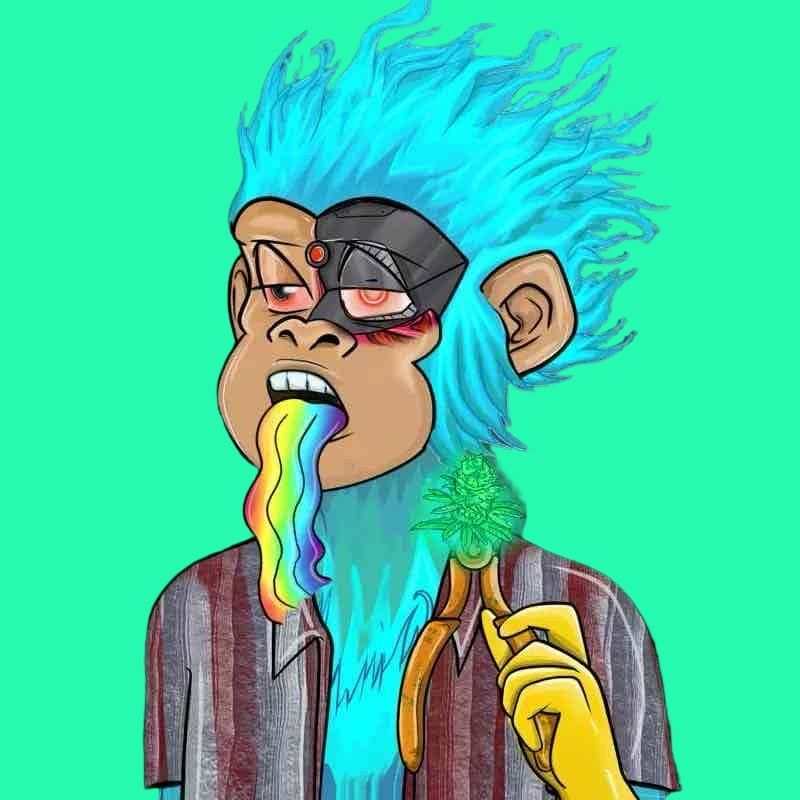 Hardik's Lens avatar
