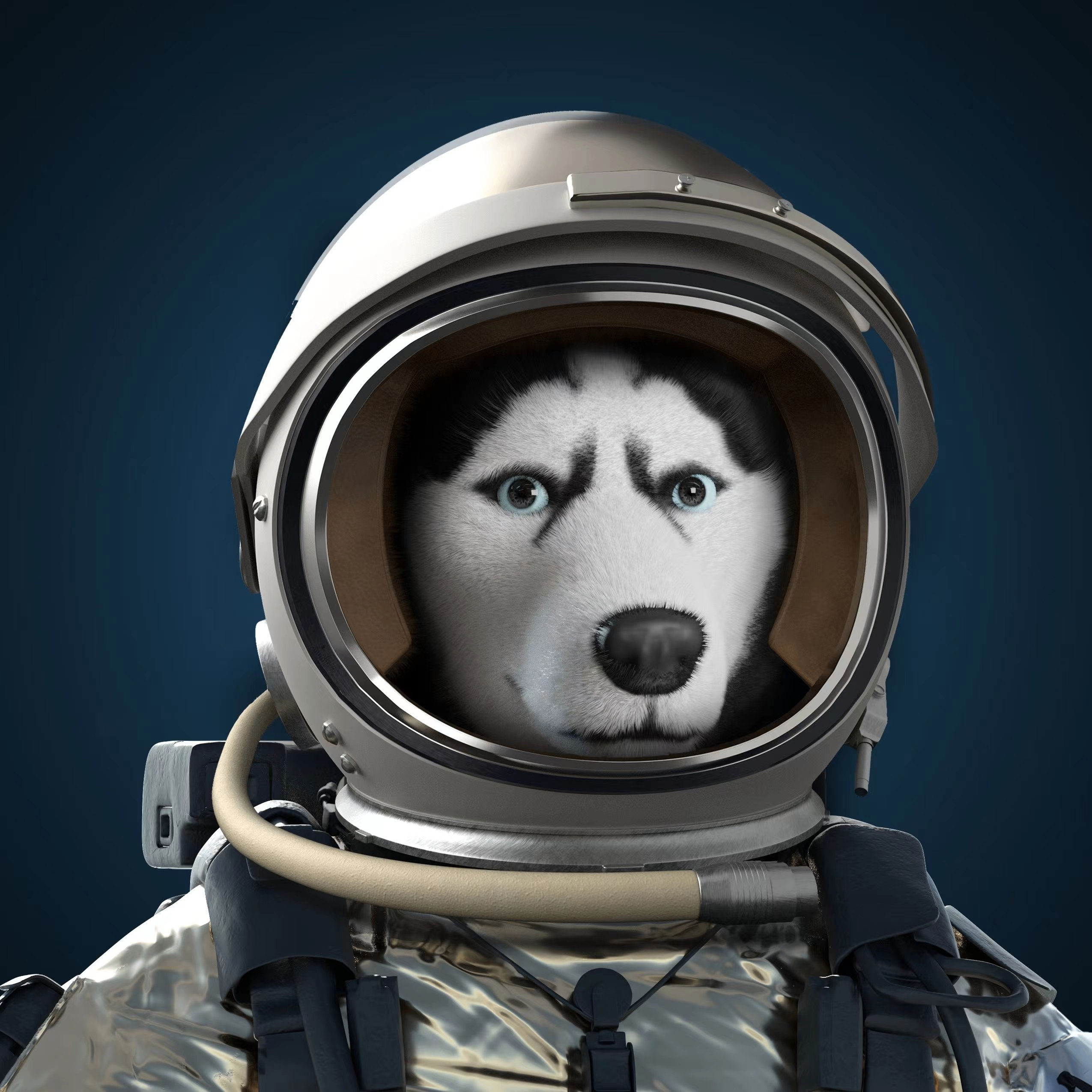Dennis's Lens avatar