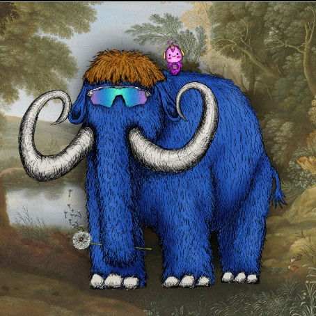 nenerajunenemantry.lens Lens social identity (.lens handle) PFP