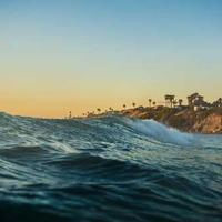 Akimitsu (courteousmrbread2.lens) Lens social identity (.lens handle) PFP