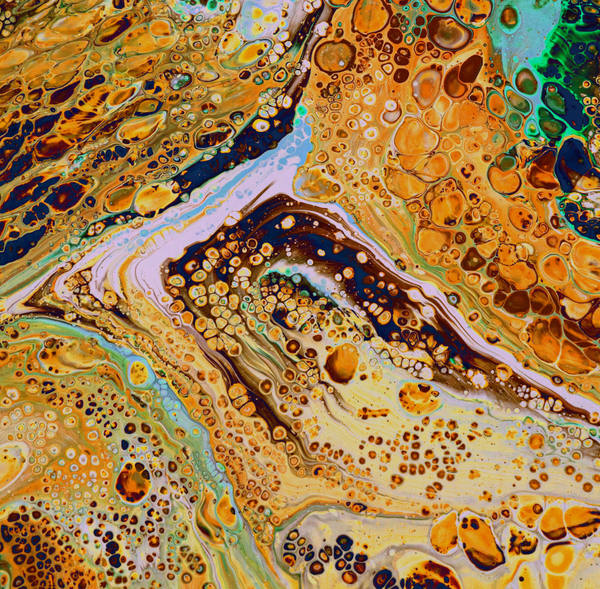 Acrylic pour of amber, gold and bronze breaking into round cells over cream, a dark navy seam through the centre