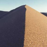 Raija (persporton.lens) Lens social identity (.lens handle) PFP