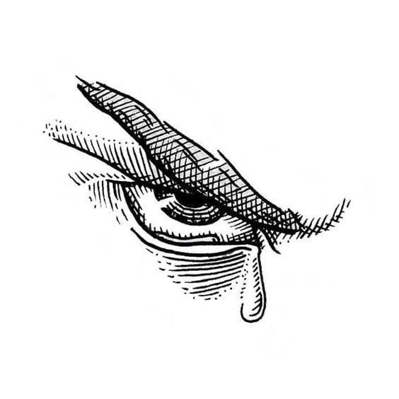 bambambio's Lens avatar