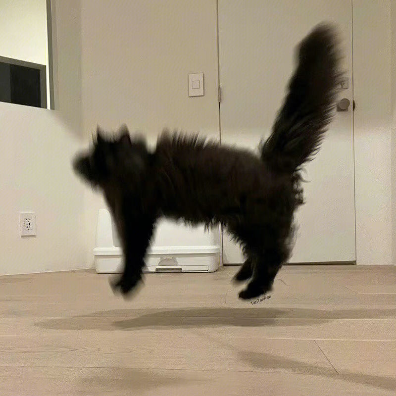 bdtjsrjkii.lens Lens social identity (.lens handle) PFP