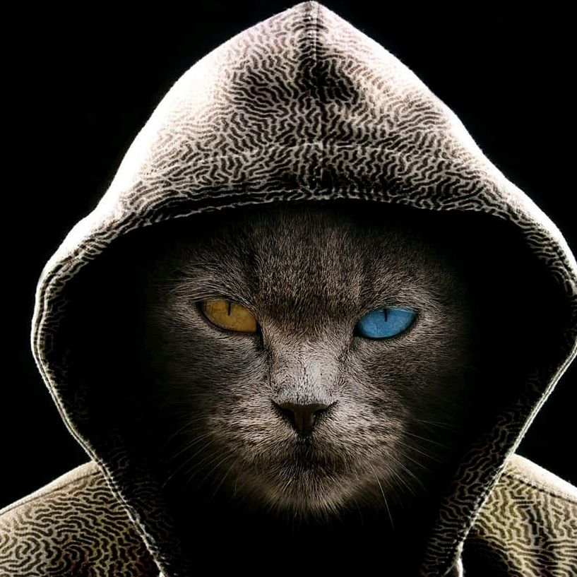 krplesen's Lens avatar
