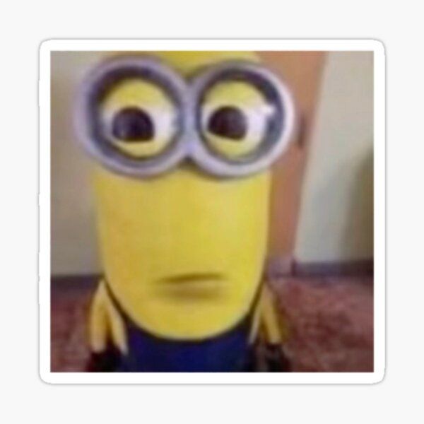 shaneminion (shaneminion.lens) Lens social identity (.lens handle) PFP