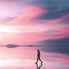 Hjjjjkkk (vvtreet.lens) Lens social identity (.lens handle) PFP