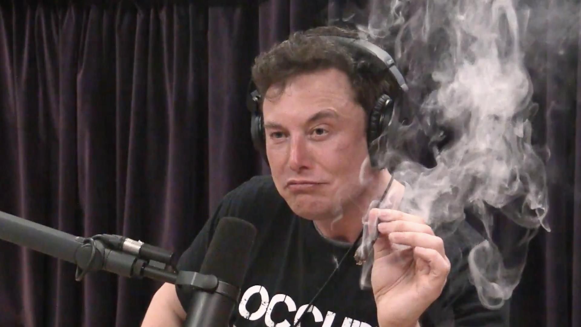 Elon 420's Lens avatar