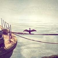 useresponsibility (useresponsibility.lens) Lens social identity (.lens handle) PFP