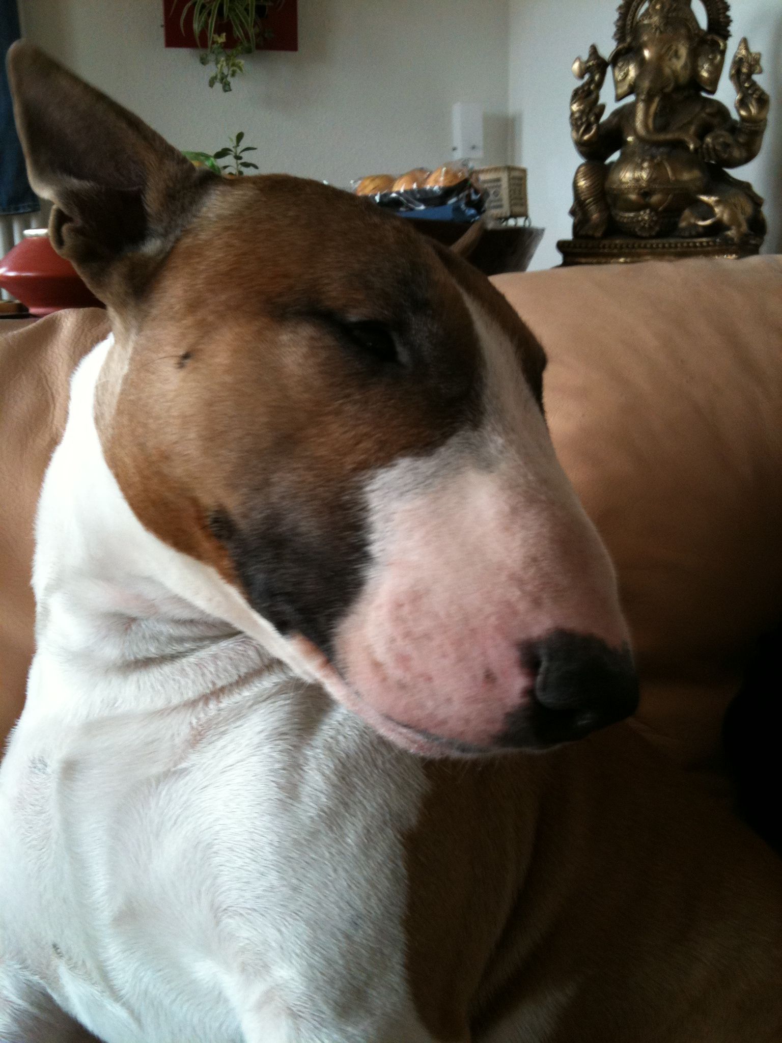 maudou (titinemaurice29.lens) Lens social identity (.lens handle) PFP