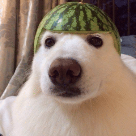 Tw1xqq's Lens avatar