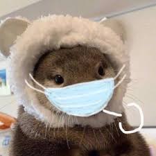 gtwrwcr (gtwrwcr.lens) Lens social identity (.lens handle) PFP