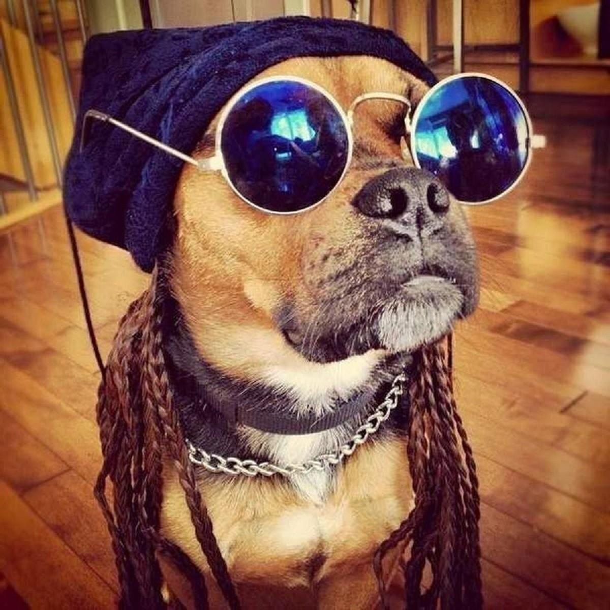 ctom1 (ctom1.lens) Lens social identity (.lens handle) PFP