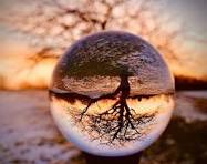 mayami (mayami.lens) Lens social identity (.lens handle) PFP