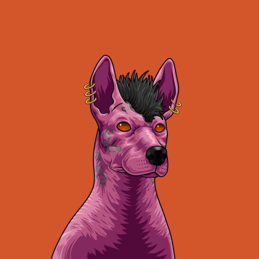 zheng◱ ◱'s Lens avatar