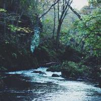 driveout (driveout.lens) Lens social identity (.lens handle) PFP