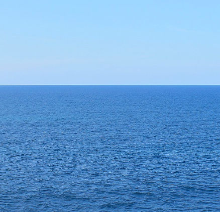 backydeparma (beckydeparma.lens) Lens social identity (.lens handle) PFP