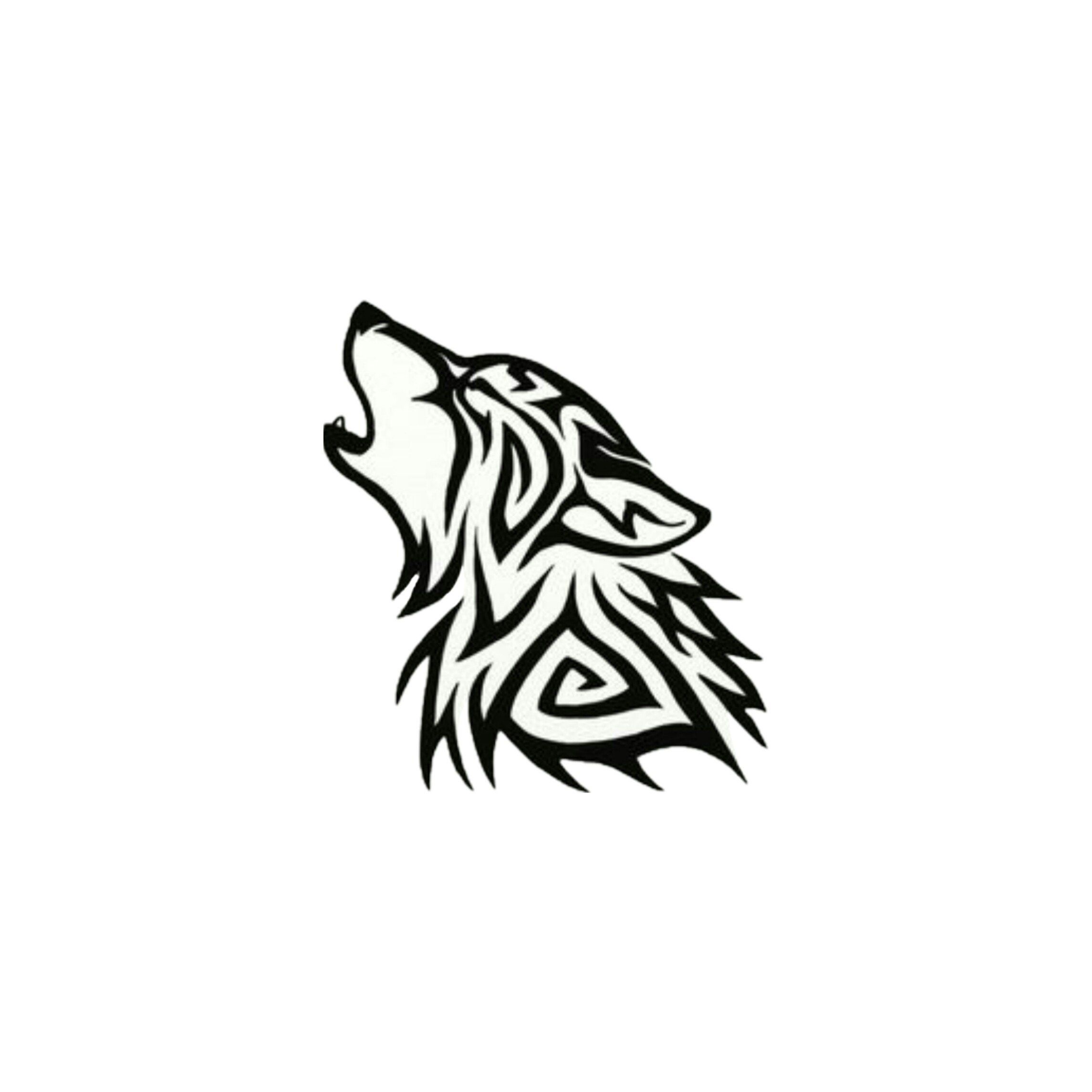 ezid44.lens's Lens avatar