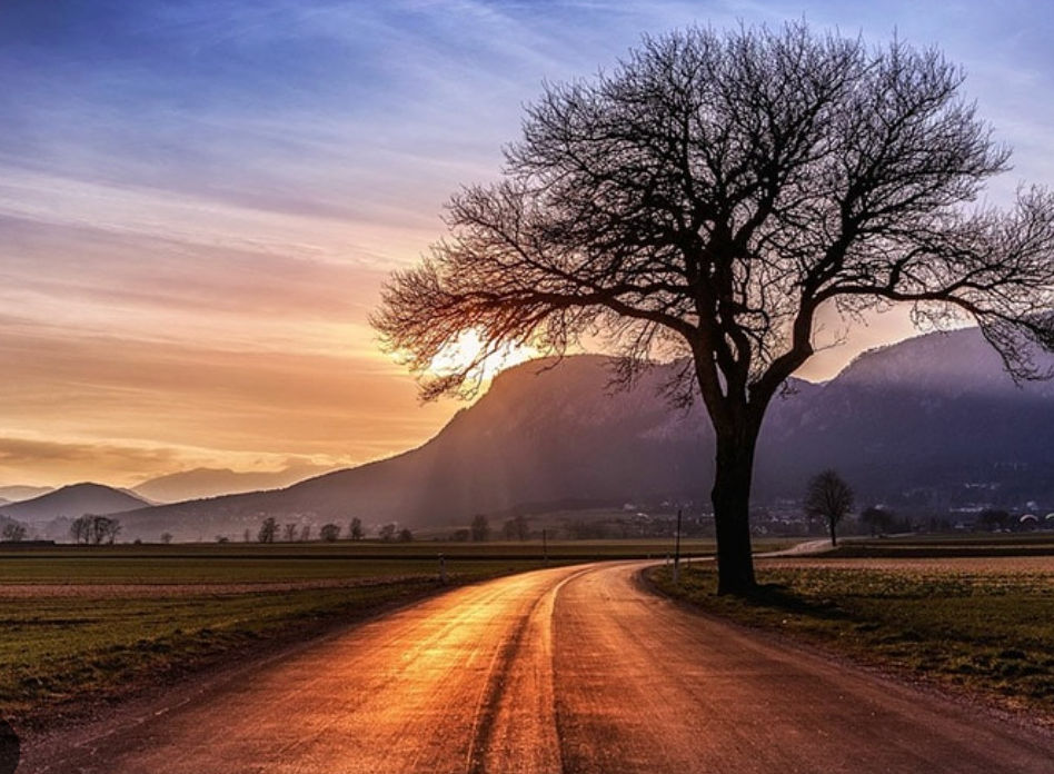 Ling (nicerice.lens) Lens social identity (.lens handle) PFP