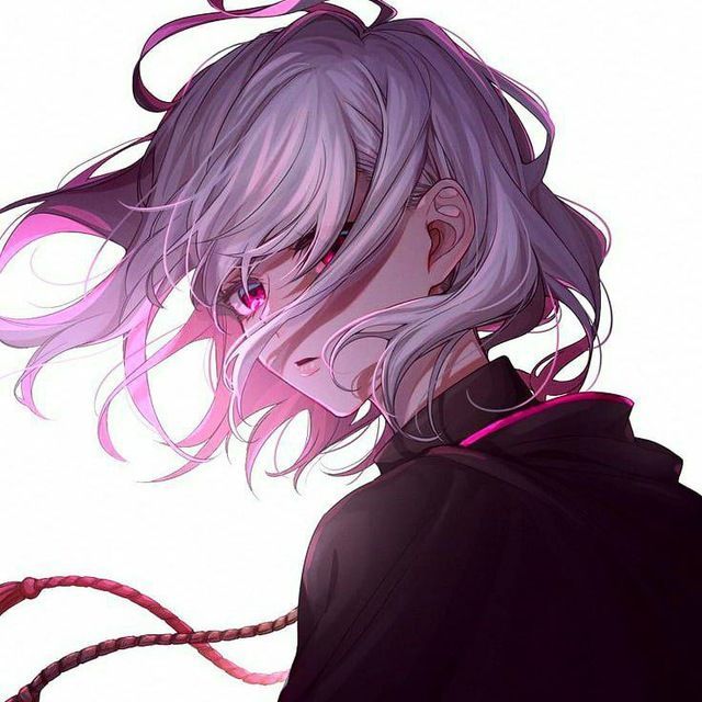 Jelly (mrjeleika.lens) Lens social identity (.lens handle) PFP