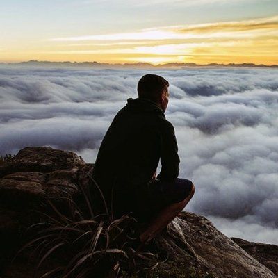 ShonBerd (shonberd.lens) Lens social identity (.lens handle) PFP