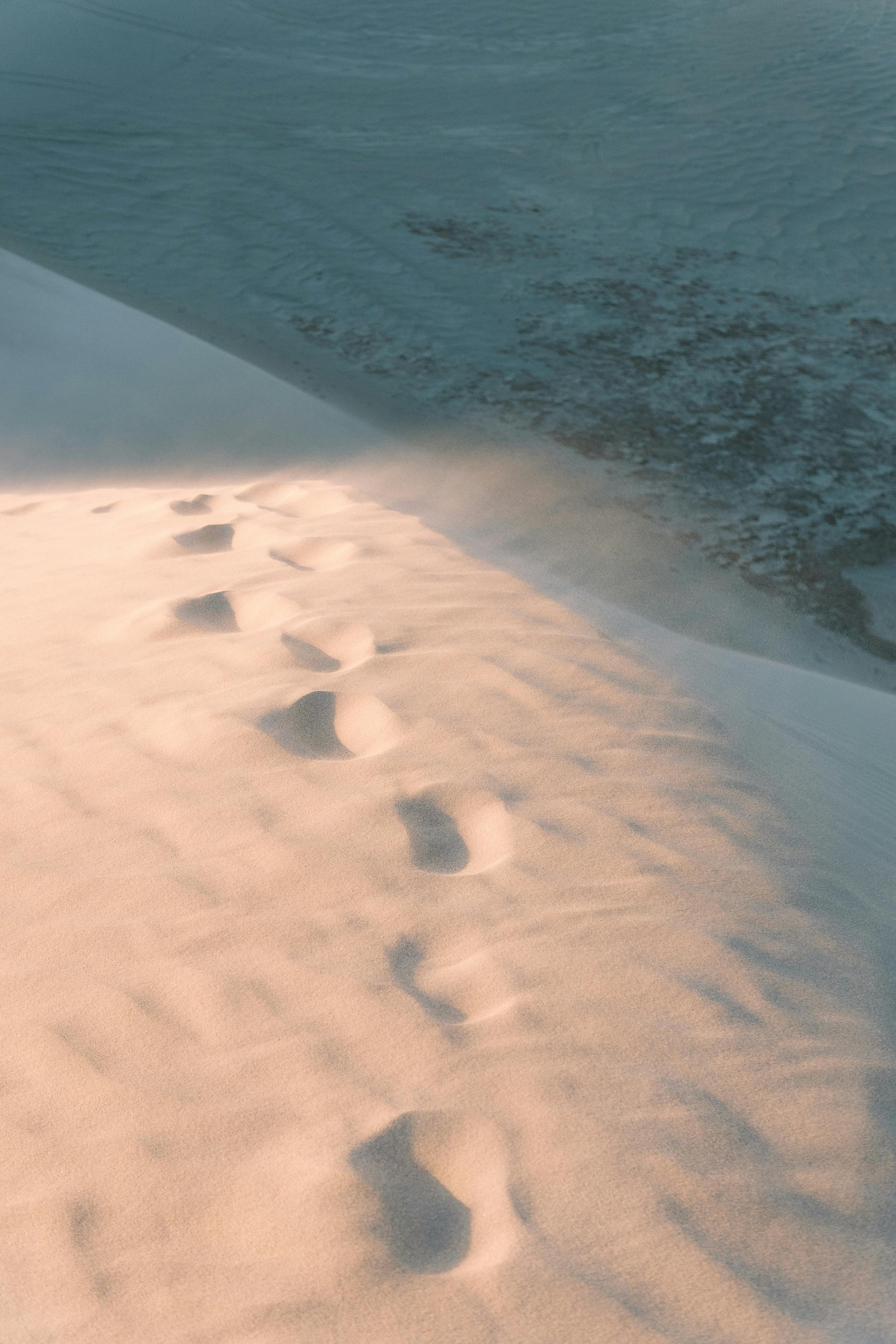 profanscy (profanscy.lens) Lens social identity (.lens handle) PFP