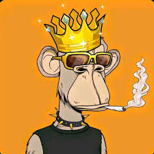 Selena Horatio (selenahoratio.lens) Lens social identity (.lens handle) PFP