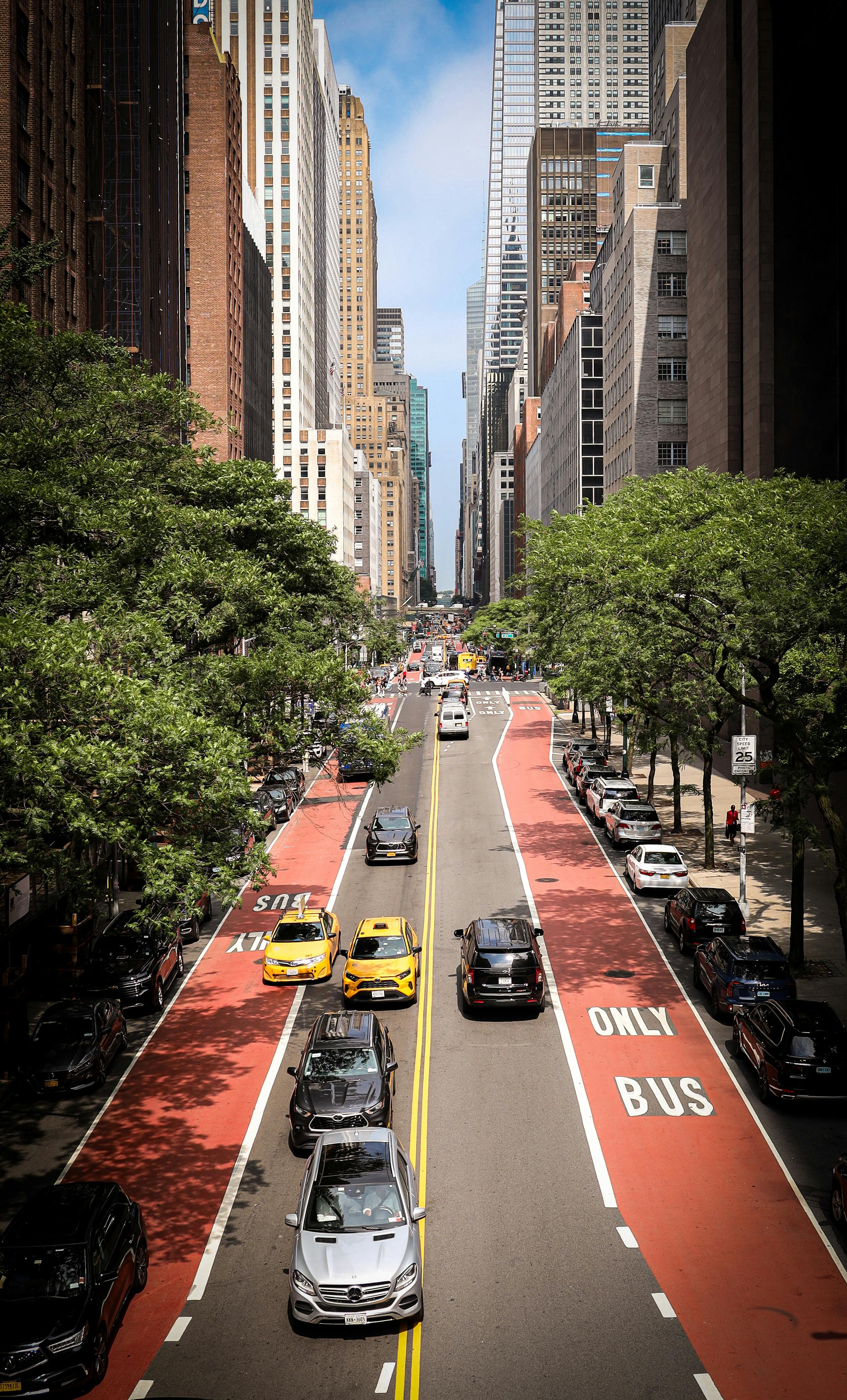 daisy (yyhgd.lens) Lens social identity (.lens handle) PFP