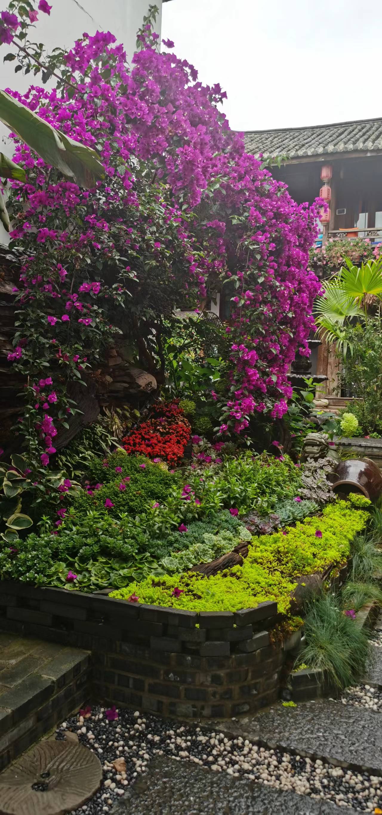 qik66 (qik66.lens) Lens social identity (.lens handle) PFP