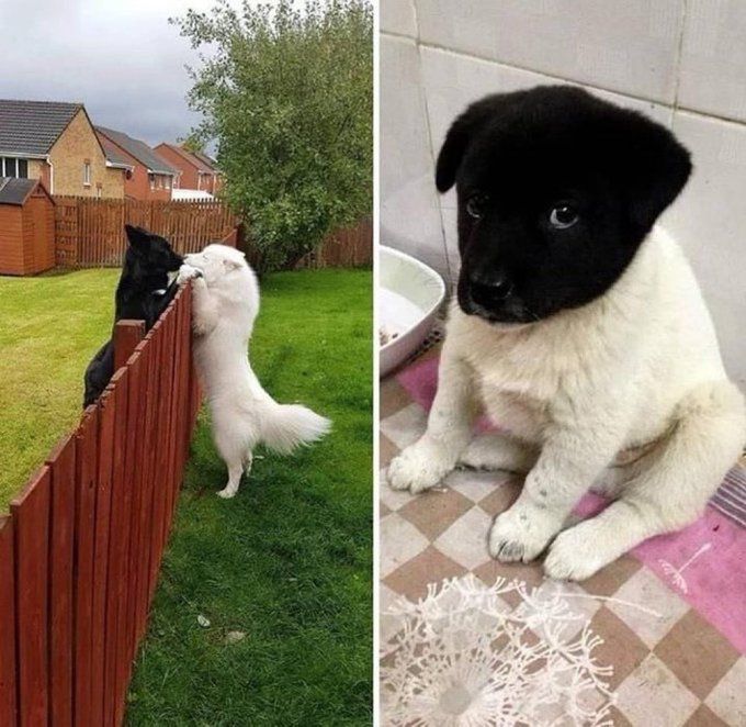 Eva (evacoin.lens) Lens social identity (.lens handle) PFP