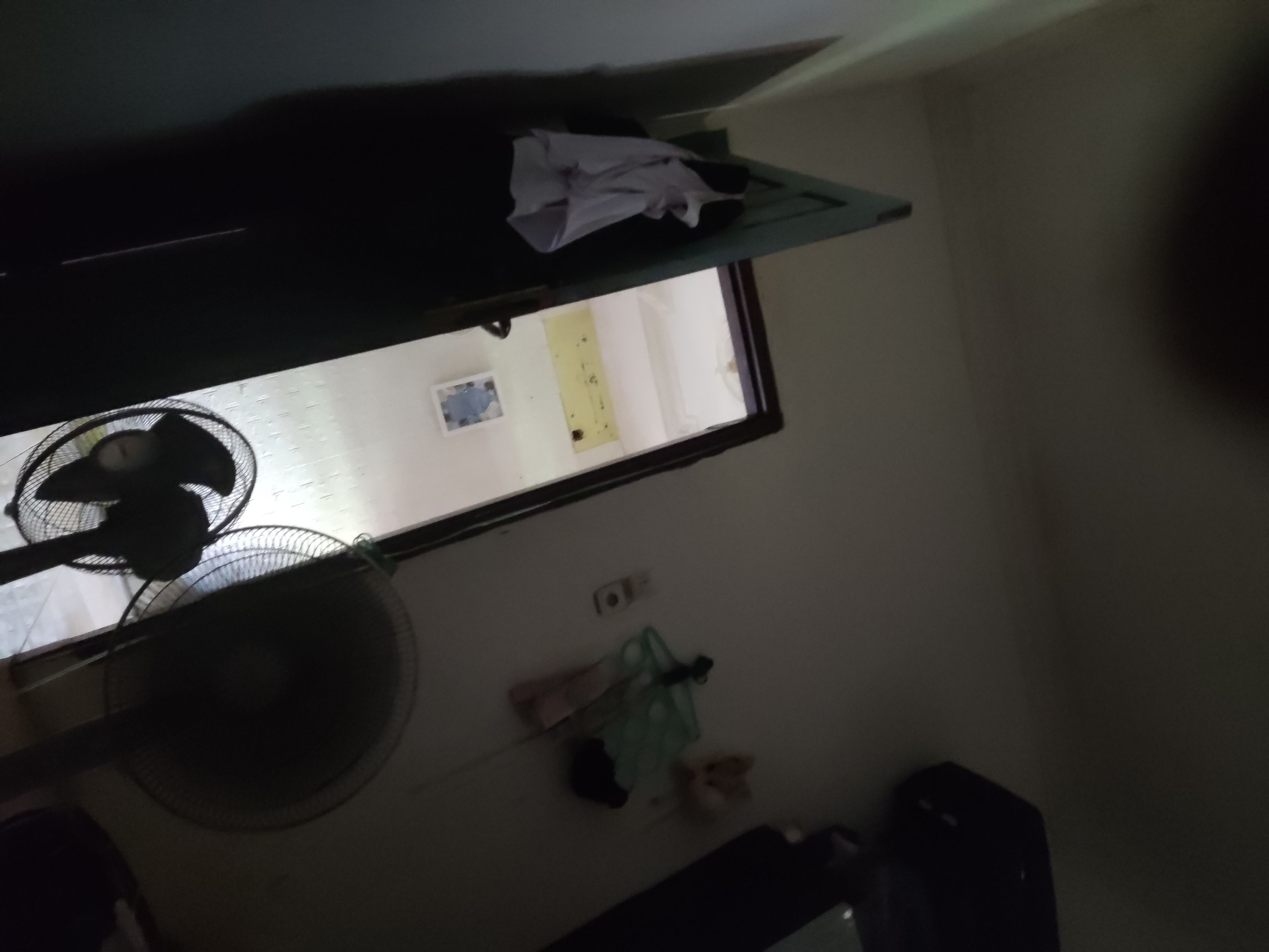 Bayu Saputro (dlv0e2e3.lens) Lens social identity (.lens handle) PFP