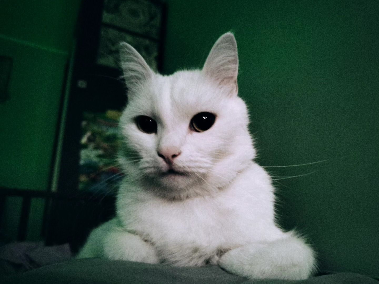 RexTo's Lens avatar