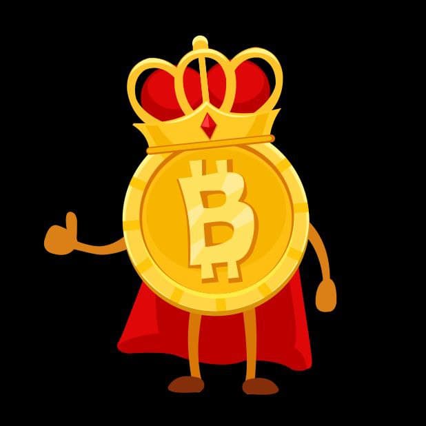 Nikola (bannu.lens) Lens social identity (.lens handle) PFP