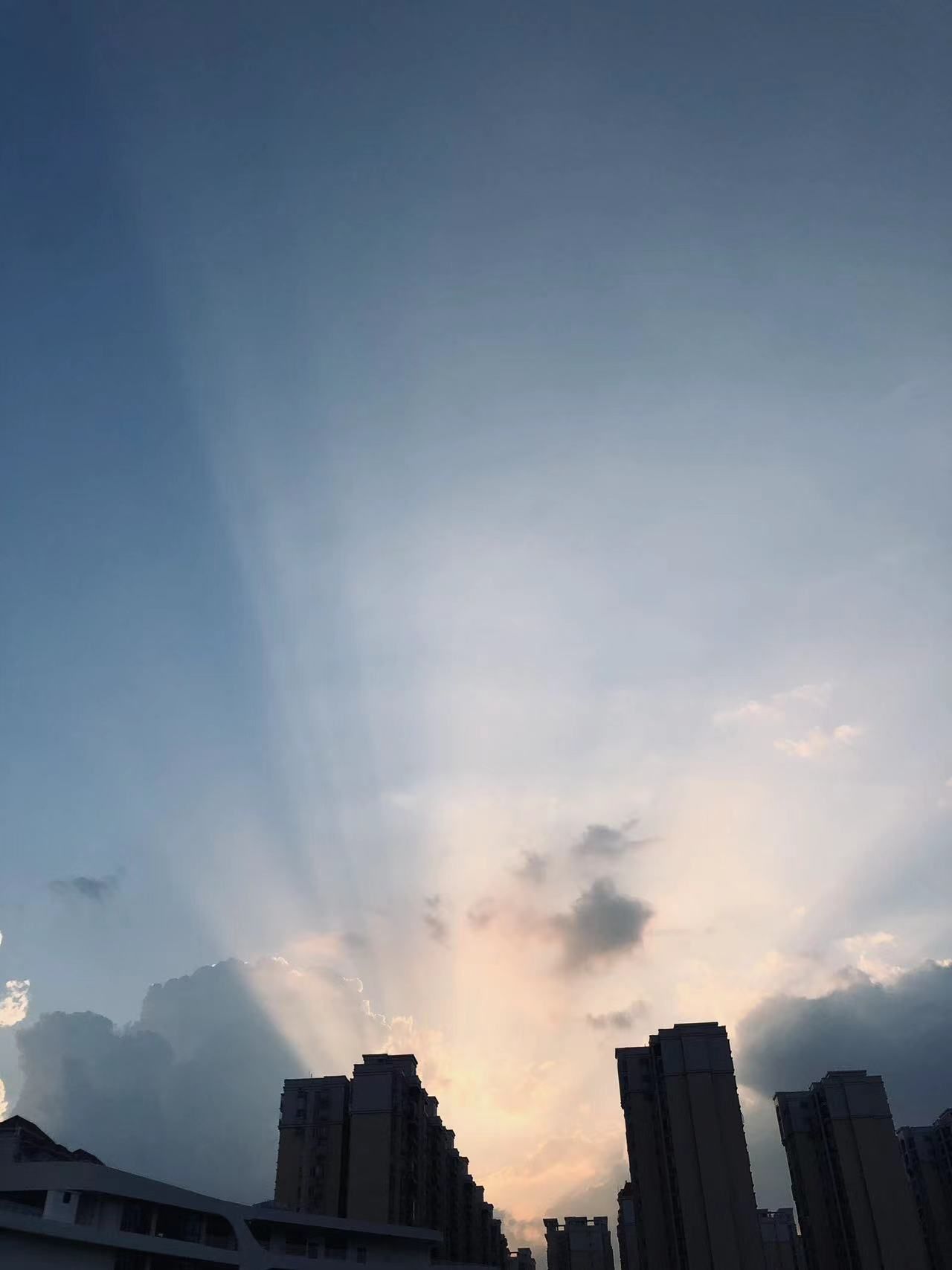 calmanzeng's Lens avatar
