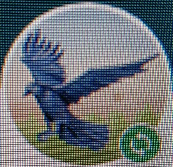 fryjamya.linea.eth Linea Name Service (.linea.eth domains) based on ENS PFP