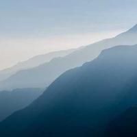 differentso (differentso.lens) Lens social identity (.lens handle) PFP