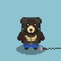 vov's Lens avatar